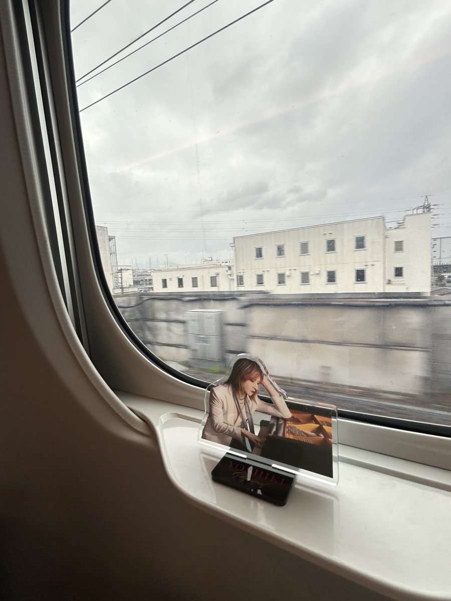 みよこ*. tweet media