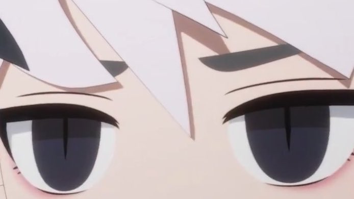 shau🍯 tweet media