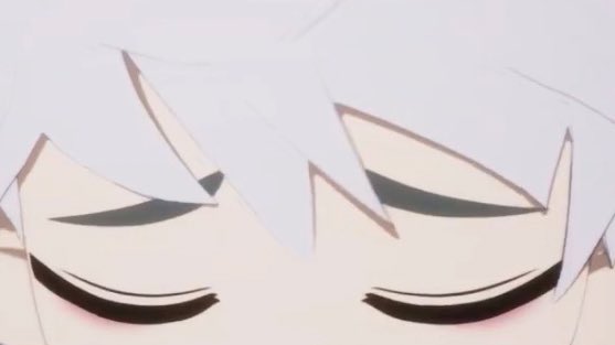 shau🍯 tweet media