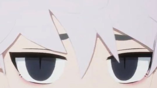 shau🍯 tweet media