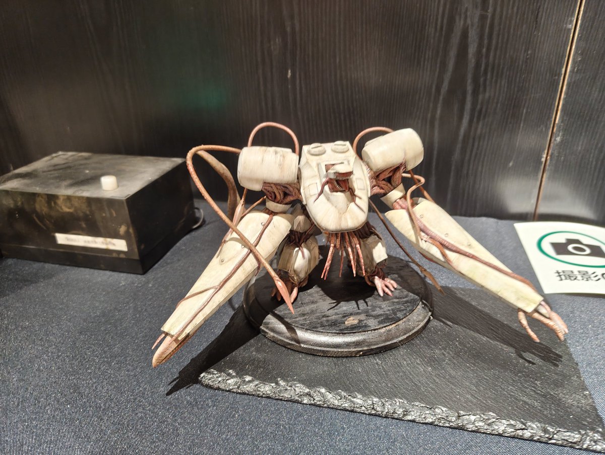 lain悠（レインユウ） tweet media