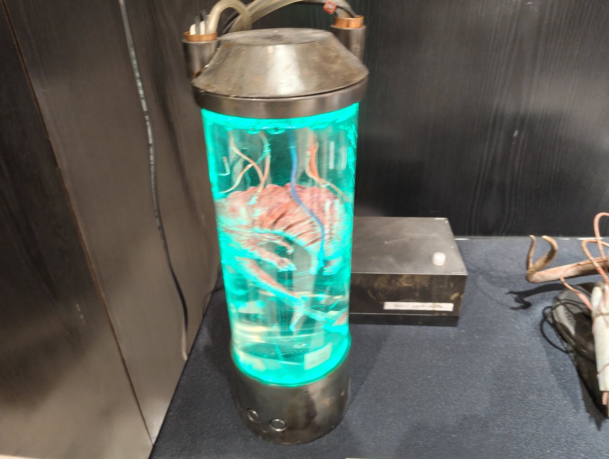 lain悠（レインユウ） tweet media