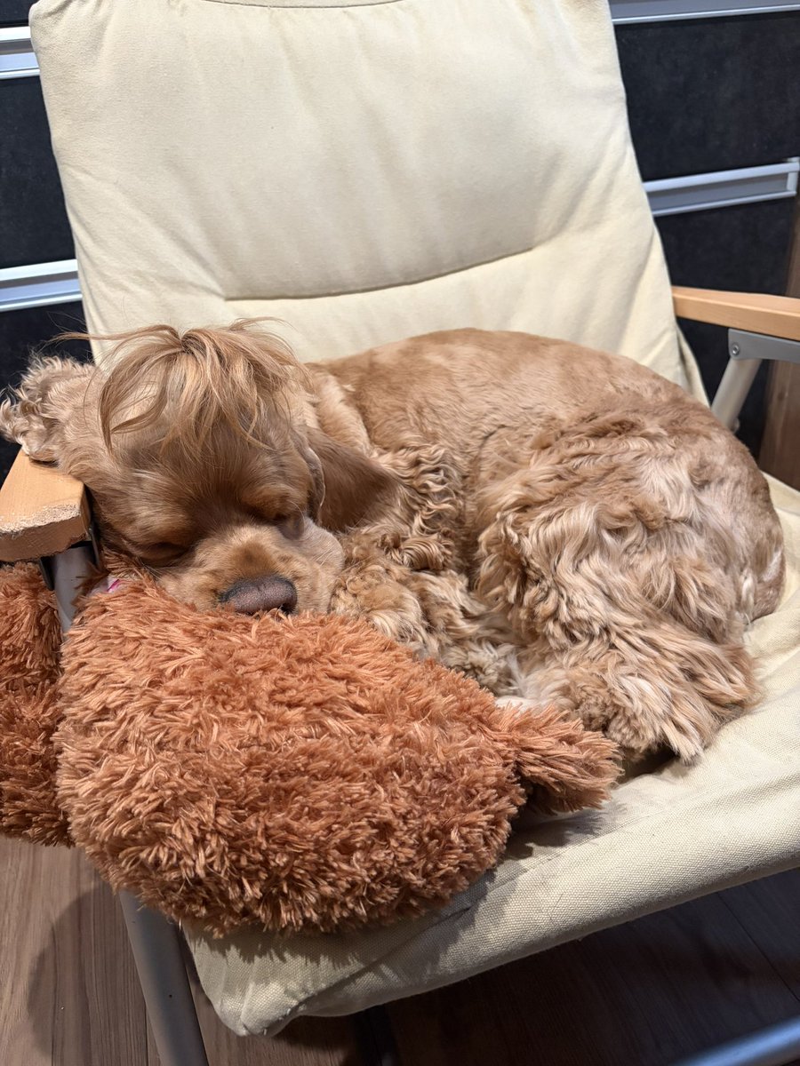 トニー tweet media