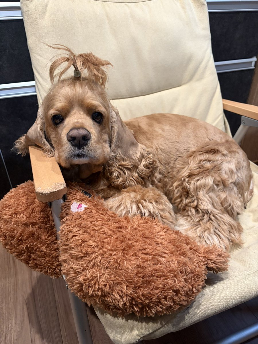 トニー tweet media