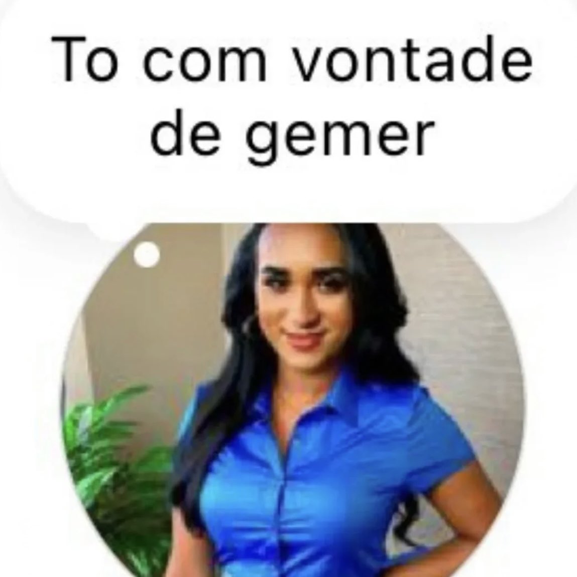 gstv ⚜️ tweet media