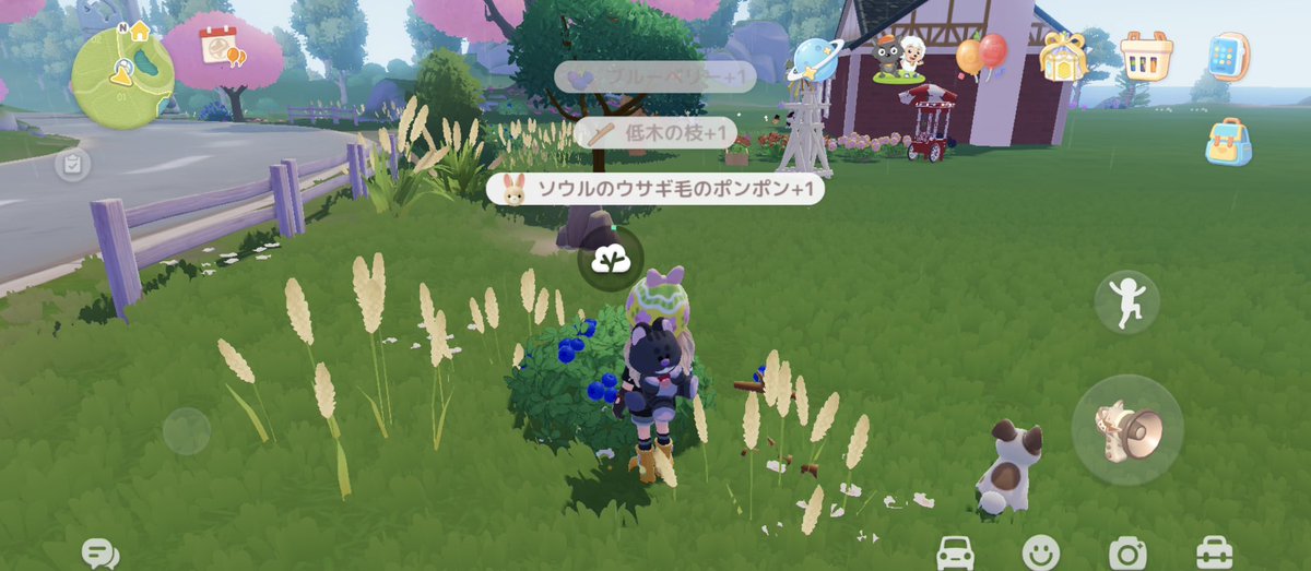 採集からうさちゃんでるぞーう!
#ハートピアスローライフ
#ハートピア