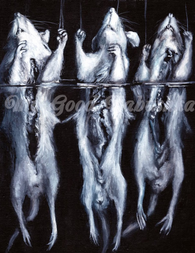 JulieKSchuler's tweet photo. Rats in Formalin
open edition print

https://t.co/SDC90BZ2pc

#painting #artprint #darkart #rats #specimens #macabreart https://t.co/gnFGihYVqw