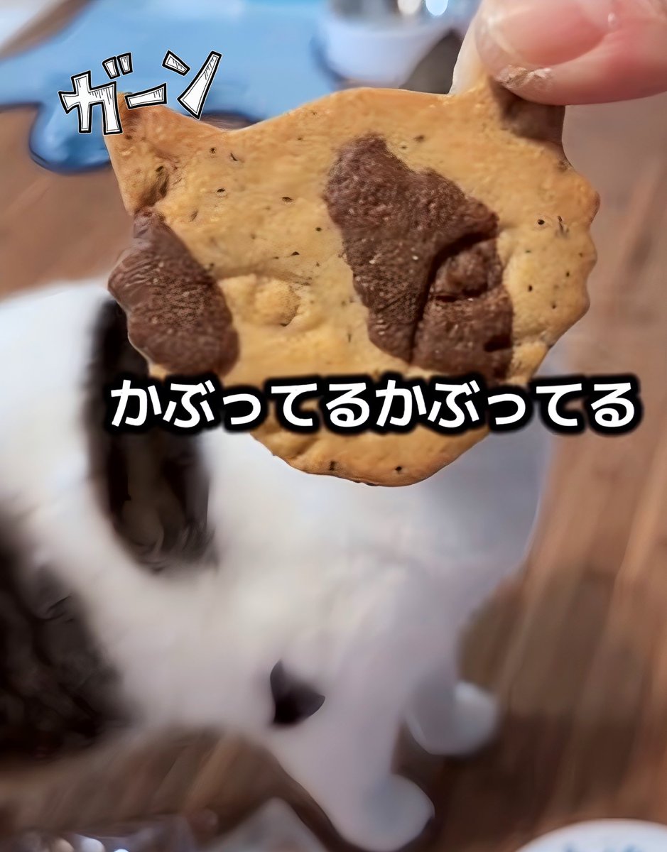 ニコちゃんとこたろう先生とトロとわさび姐さん tweet media