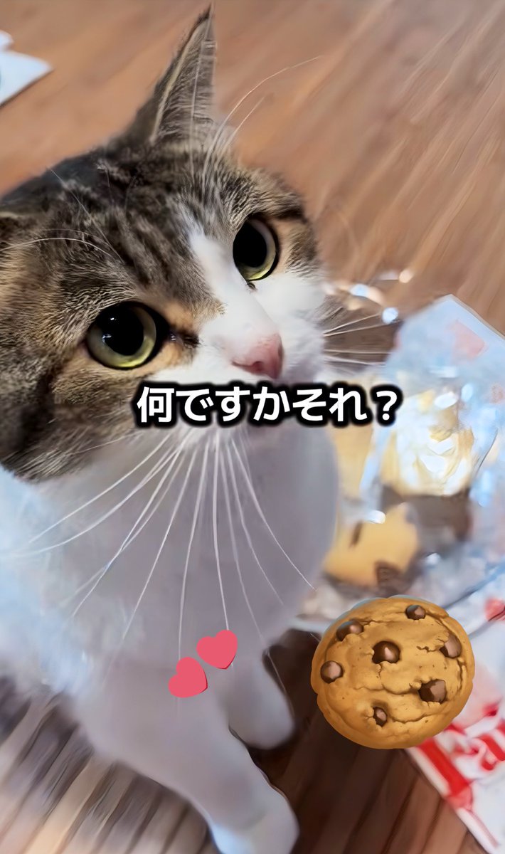 ニコちゃんとこたろう先生とトロとわさび姐さん tweet media