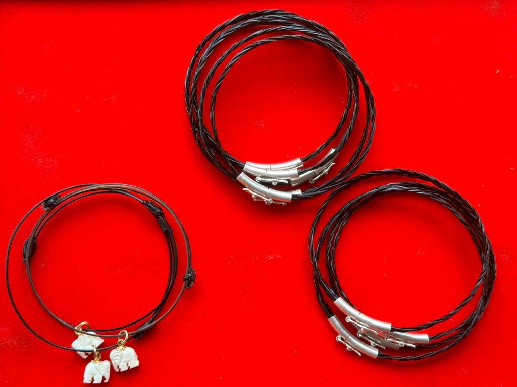 น้องช้างFamily🐘🐘🐘 tweet media