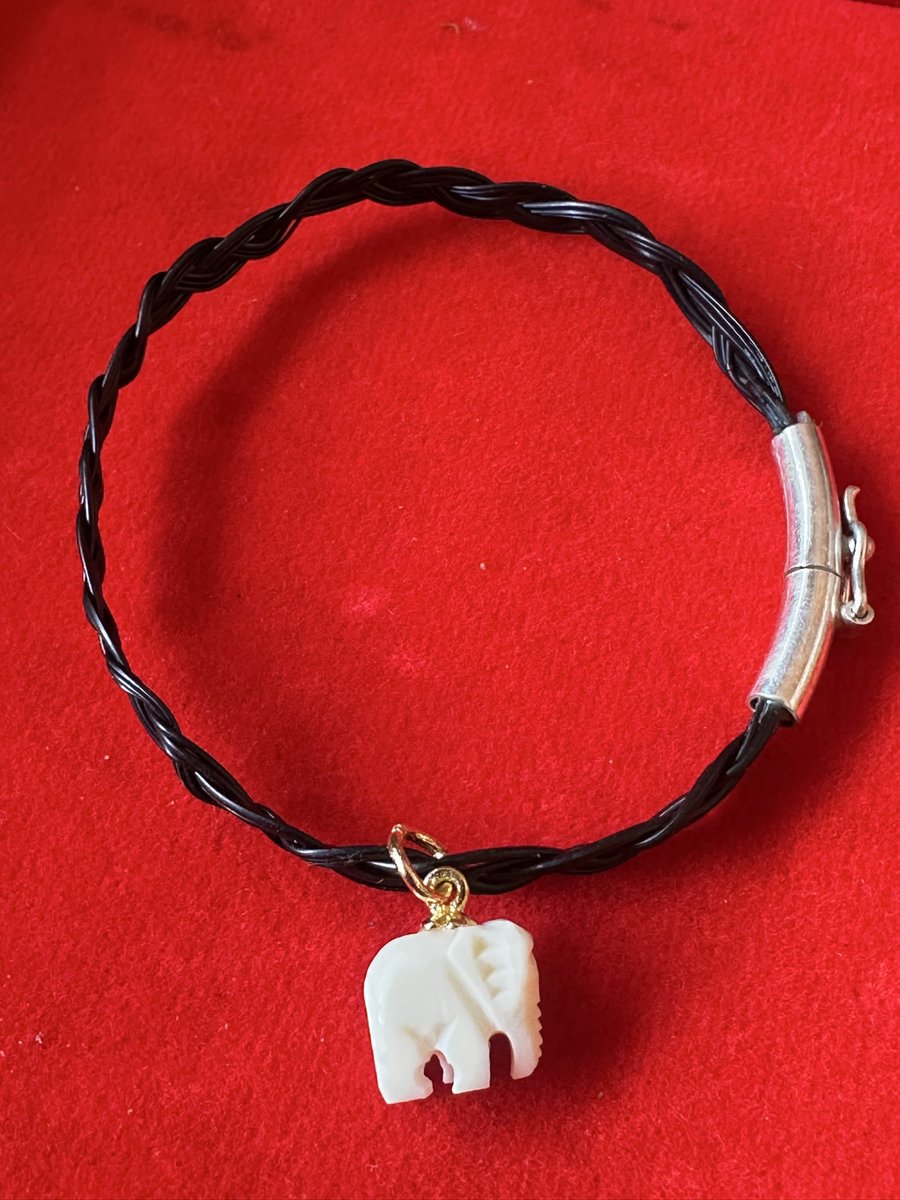 น้องช้างFamily🐘🐘🐘 tweet media