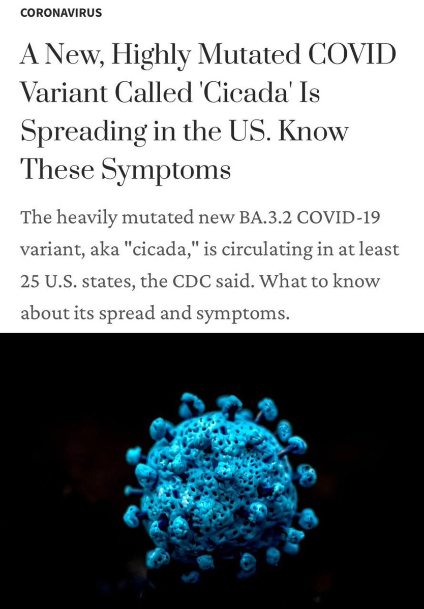 illuminatibot tweet media