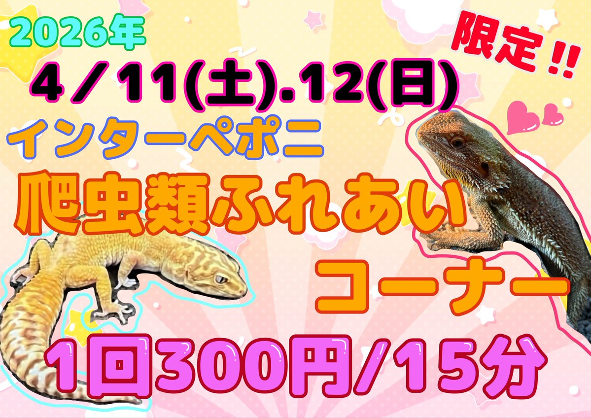 ペポニ@リミックスインター店 tweet media