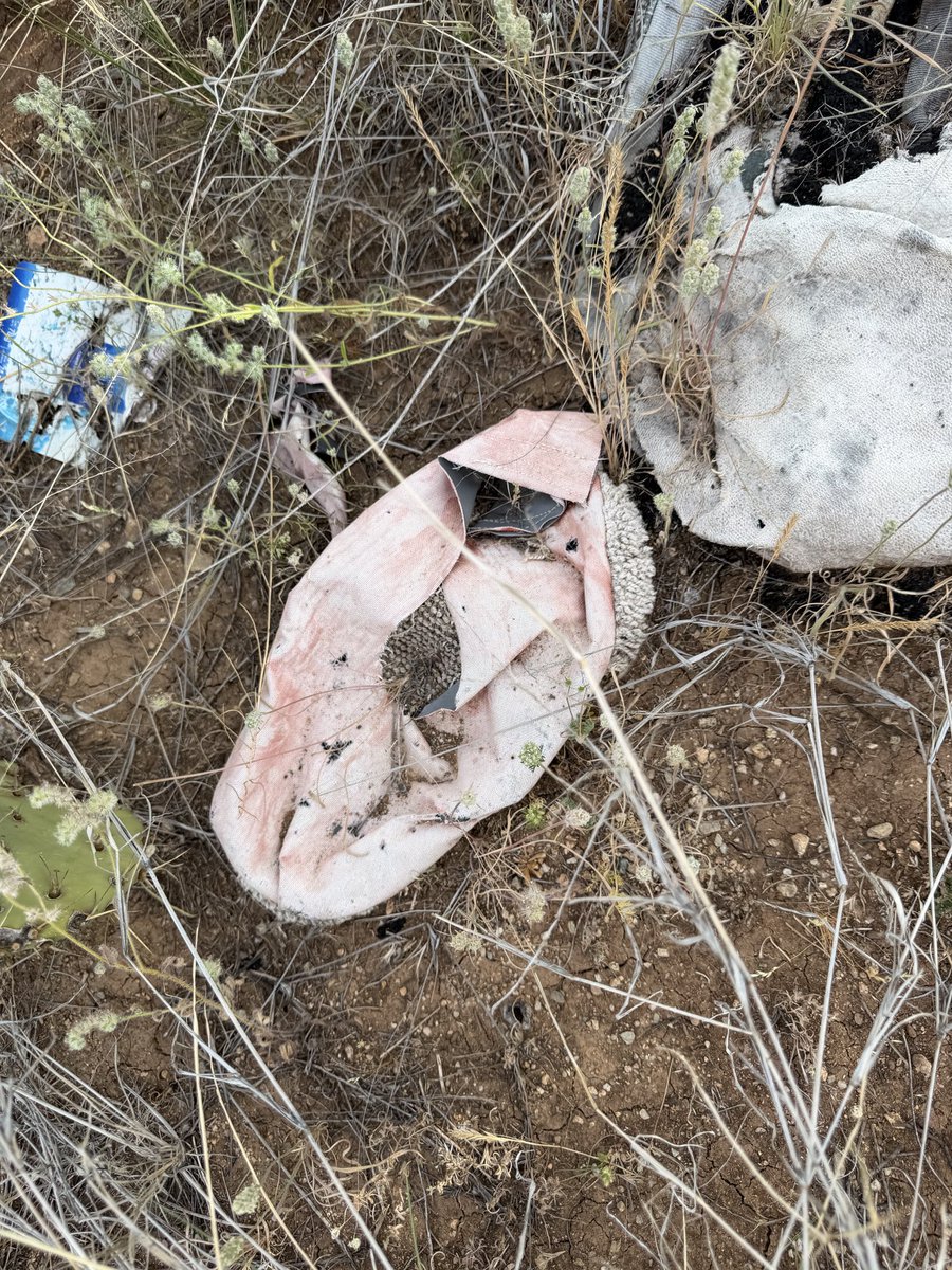 Dad's Gone Live tweet media