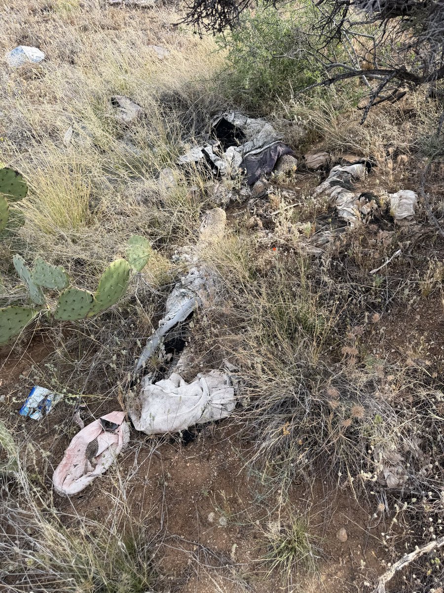 Dad's Gone Live tweet media