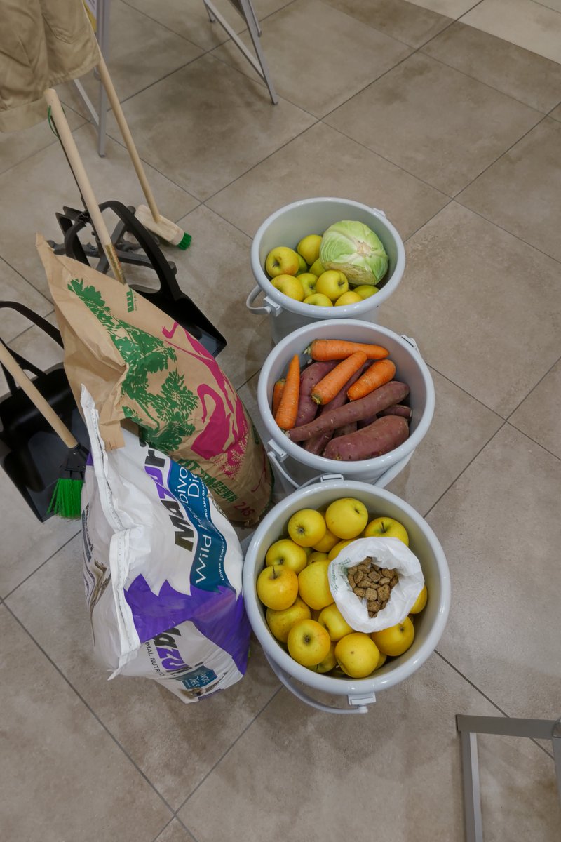 盛岡市動物公園 ZOOMO tweet media