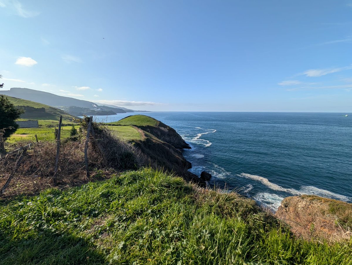 Elvington Church of England Primary School tweet media