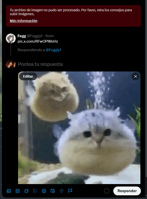 Aiss 🎺 tweet media