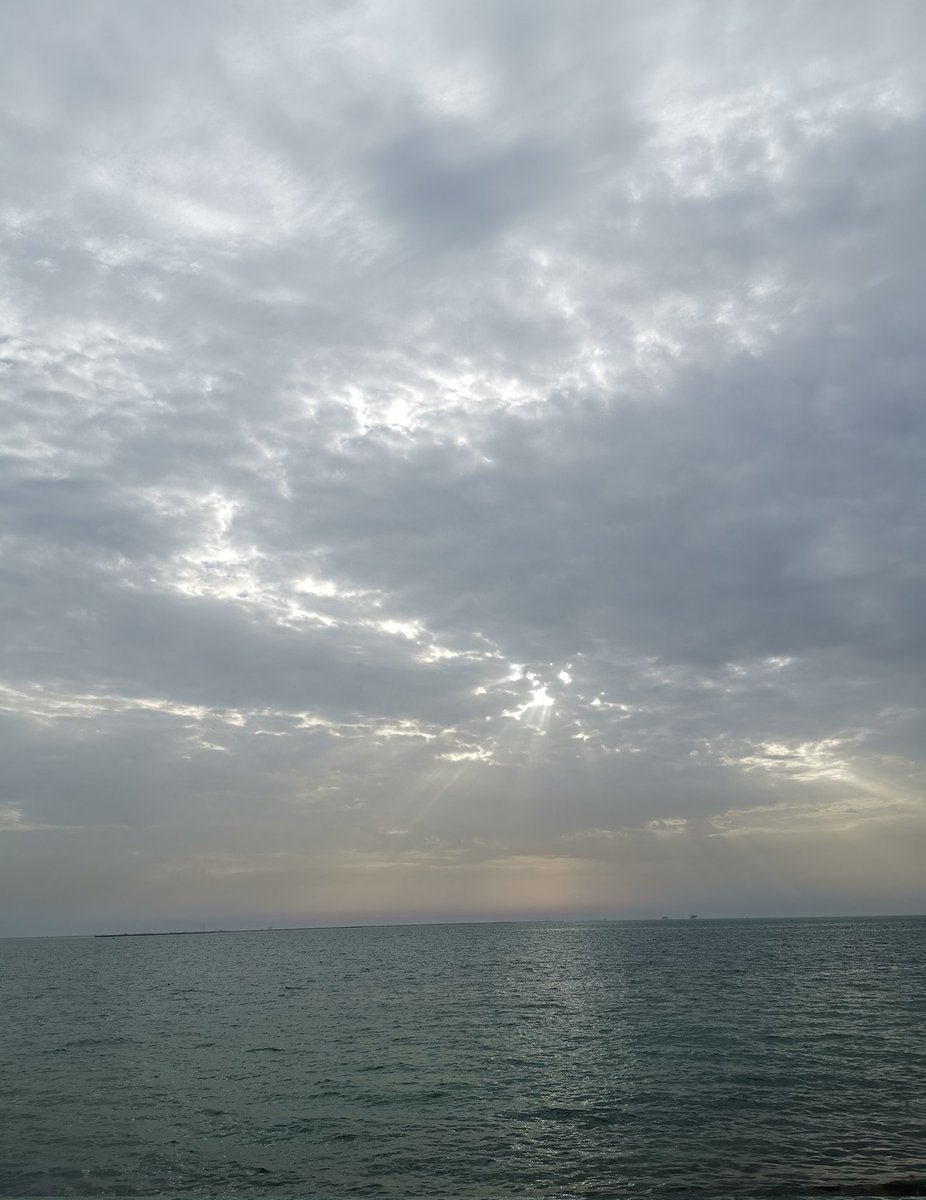 🇸🇦 news Observer 🇸🇦 tweet media