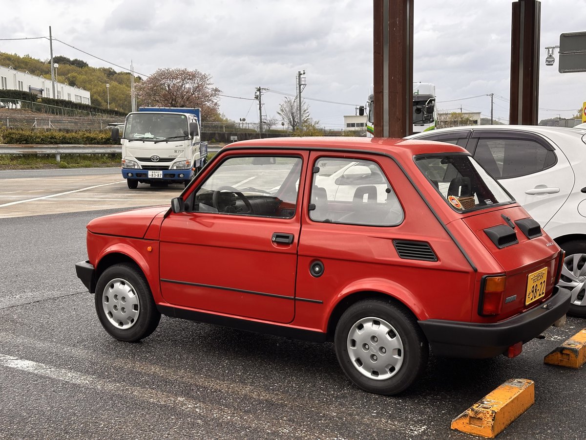 ぽな粉 tweet media