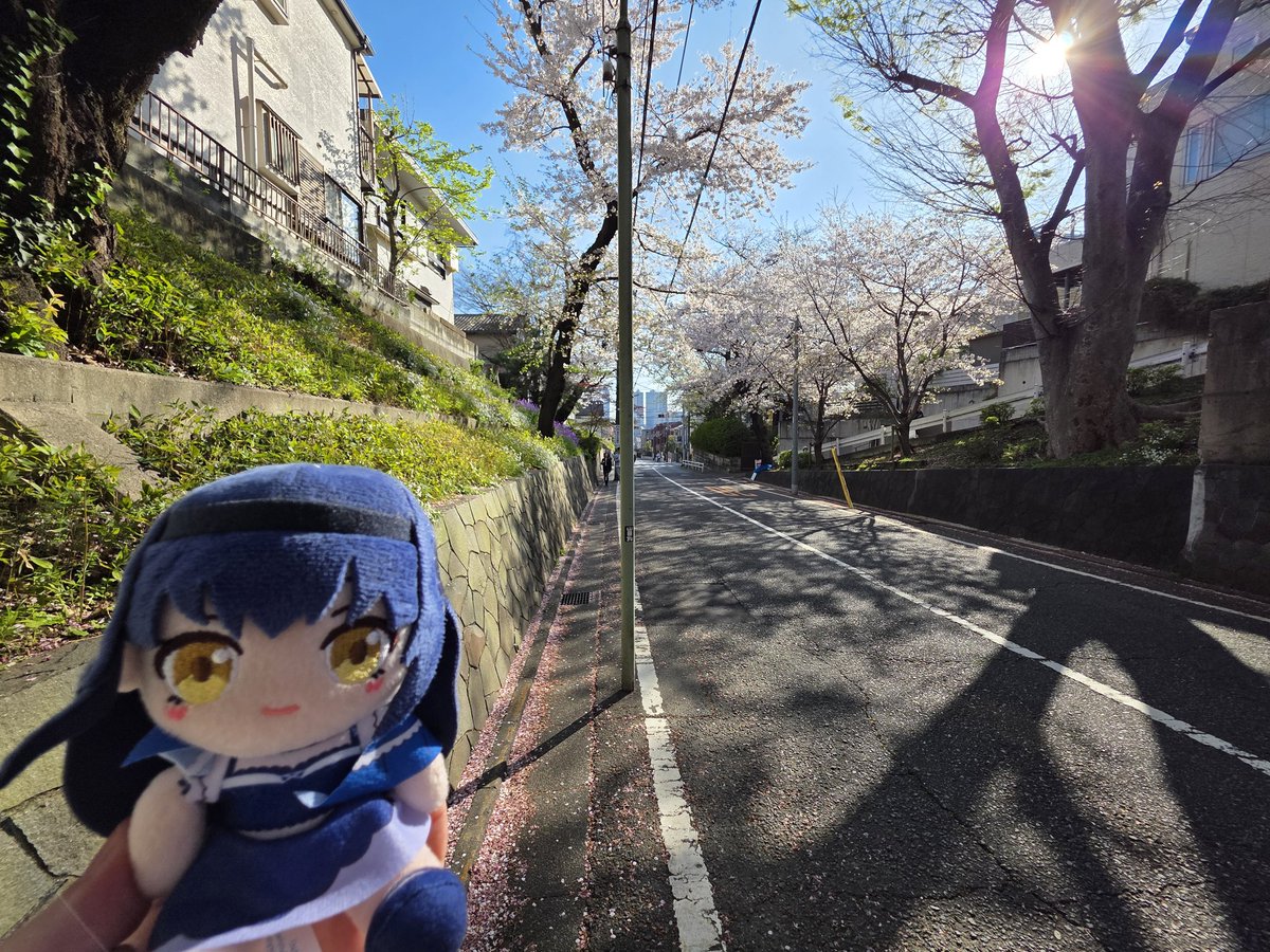 diyanou8's tweet photo. 誕生日おめでとう！🏴‍☠️🏴‍☠️🏴‍☠️

#久島鴎生誕祭2026
#SummerPockets
#サマポケ https://t.co/aESePOxzLP