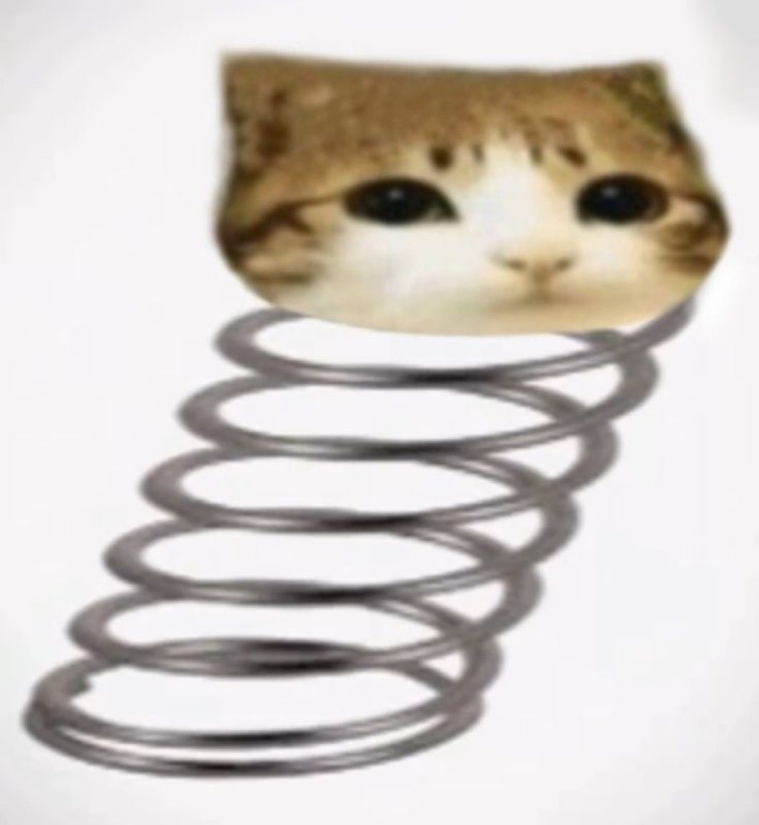 juni @prncessrry tweet media