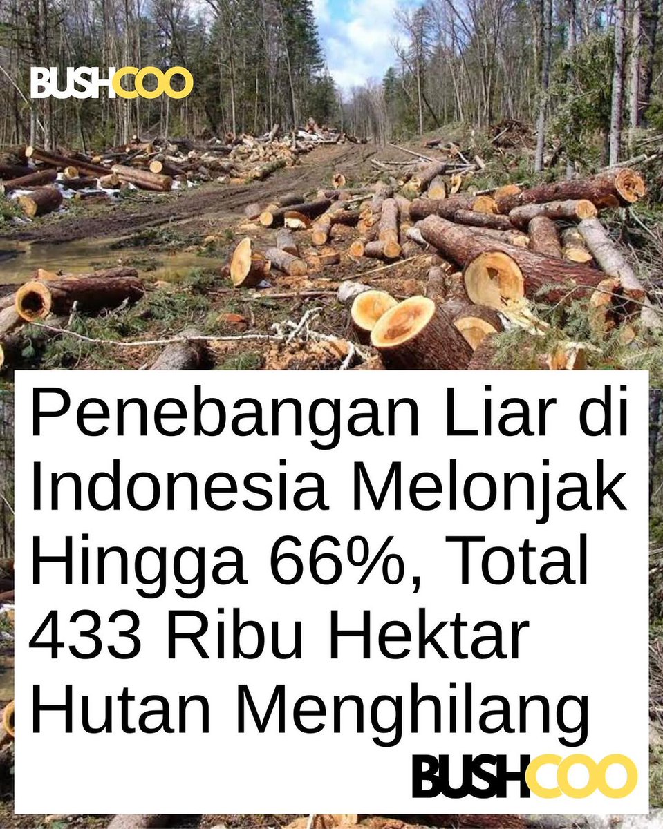 SERUAN H7 tweet media