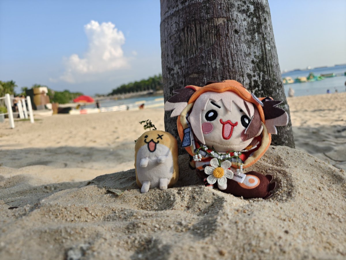 Buwuchi ( ｡-ᆺ-｡マ tweet media