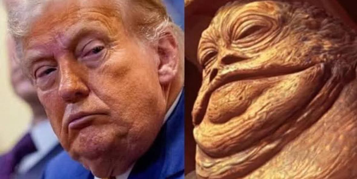 Marilyn tigerpuss Co tweet media