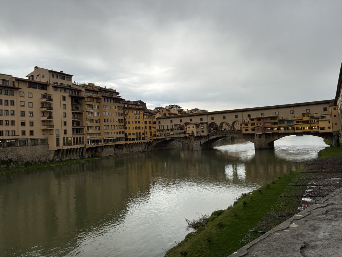 RIE(目指せ癌サバイバー) tweet media