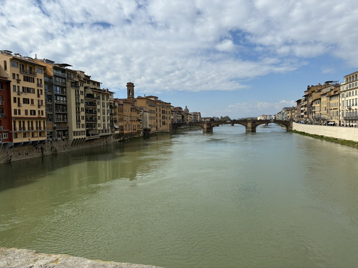 RIE(目指せ癌サバイバー) tweet media