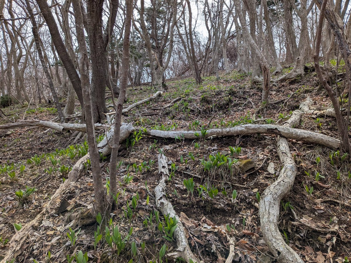 りょぅ🐥 tweet media