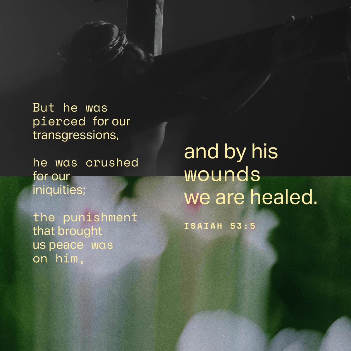 kimikeiki's tweet image. Hello everypony! 🎠🌈
Here is today's #VOTD:

"But he was pierced for our rebellion, crushed for our sins. He was beaten so we could be whole. He was whipped so we could be healed." [Isaiah 53:5]

❤️ Isaiah is an Old Testament book in which the prophet Isaiah spoke to the people
