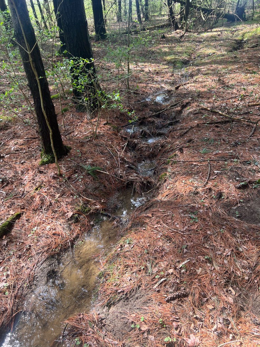 ☀️🐊 Sobekmsaf🐍🦛 tweet media