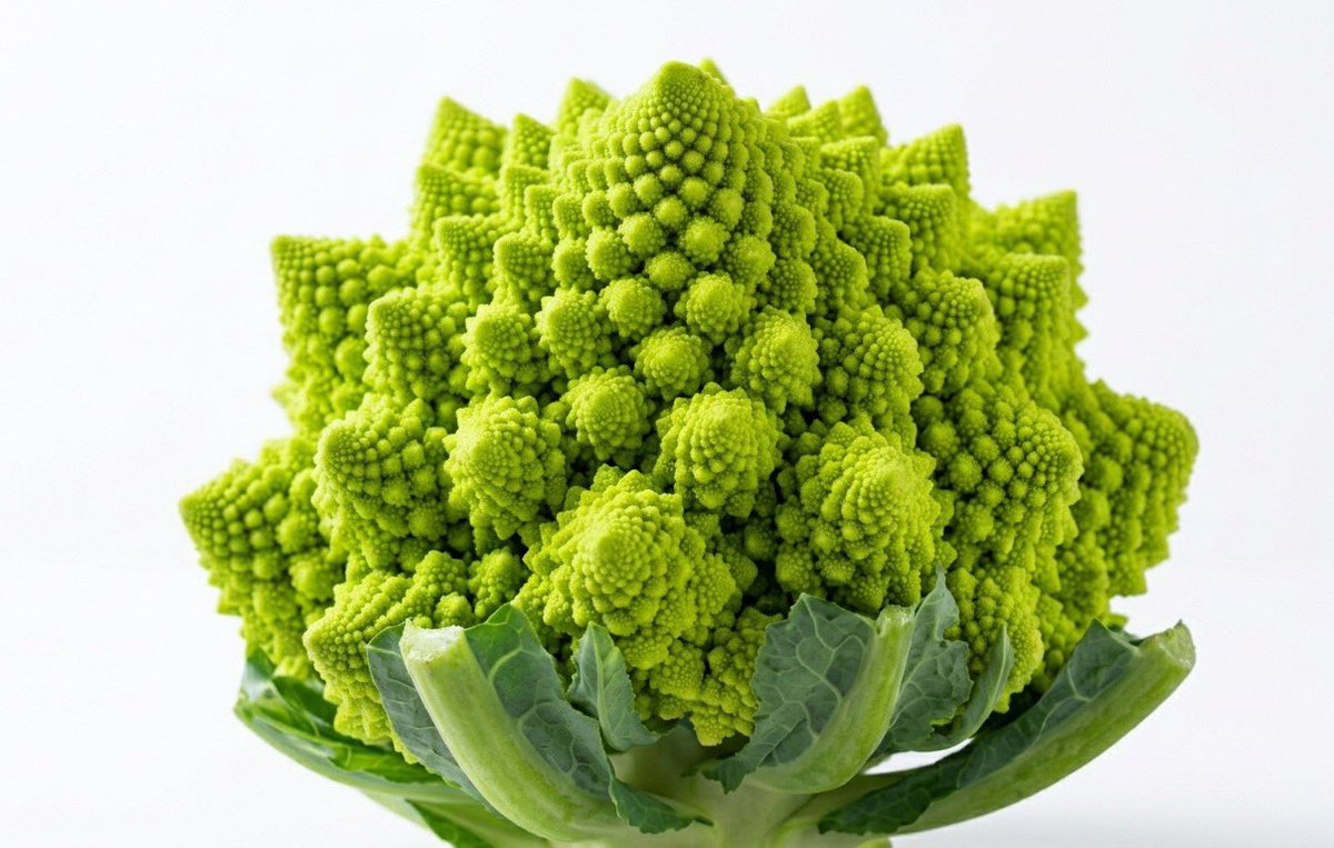 青髪のテツ🪼八百屋歴15年 tweet media