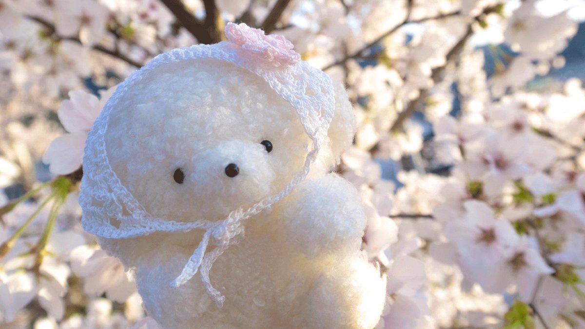 じょせまる tweet media