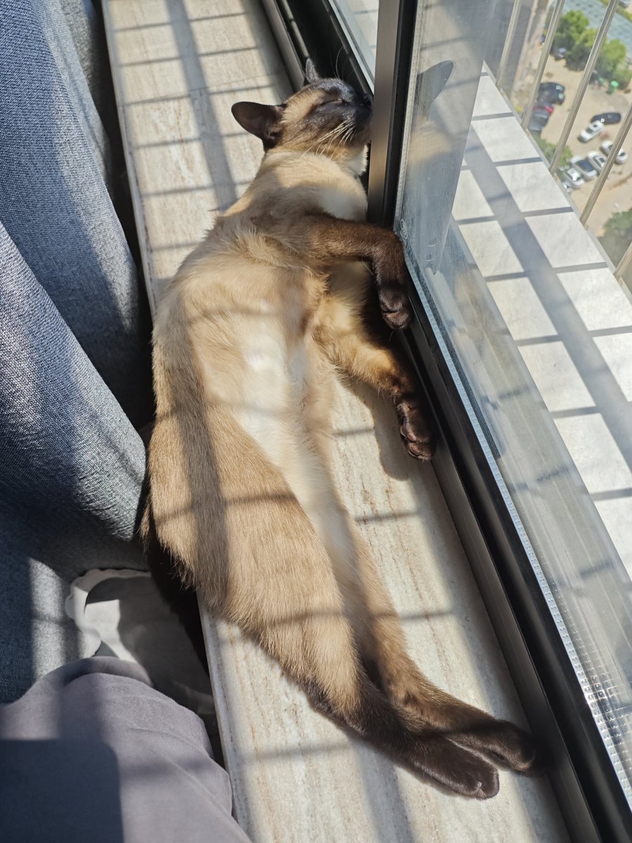 江列侬 tweet media