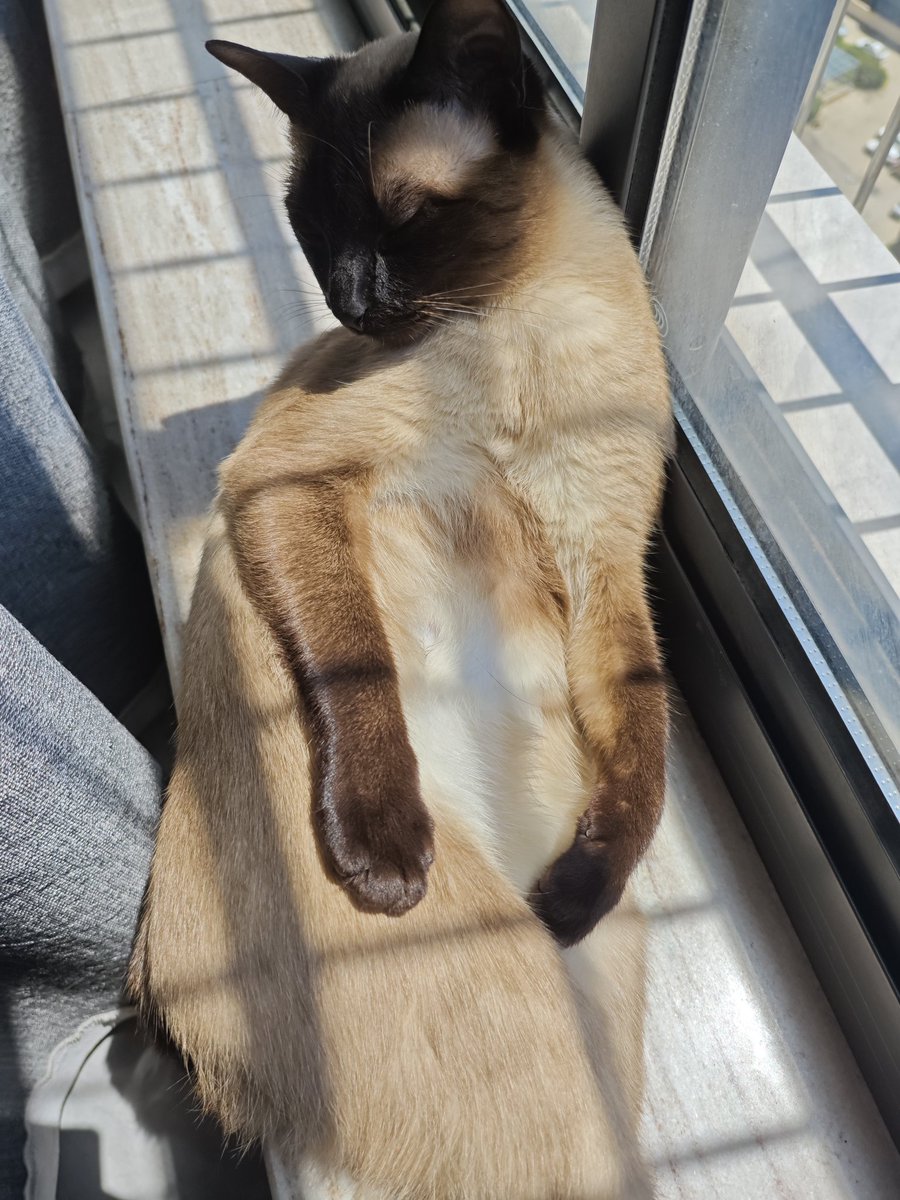 江列侬 tweet media