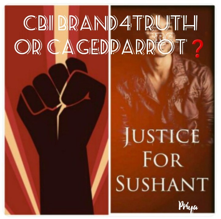 PRIYA 🇮🇳(Sushant ka Parivar)🦋 tweet media