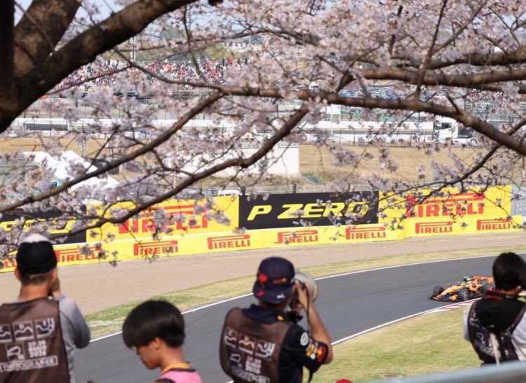 GarrisonSoeta's tweet photo. 先週の鈴鹿サーキットF1ですが
桜とF1が凄く良かったです
これから桜と言えばF1になりそうです #4mekiku https://t.co/yhi0ewoAaE
