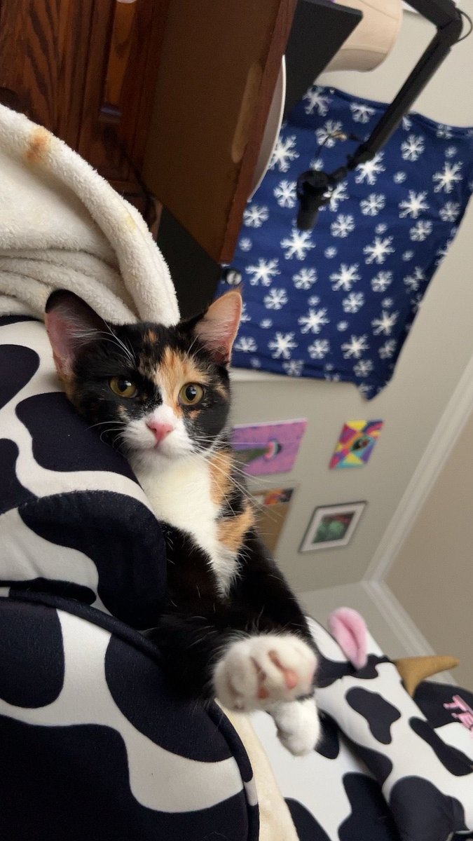 laurent solis. ᥫ᭡ tweet media