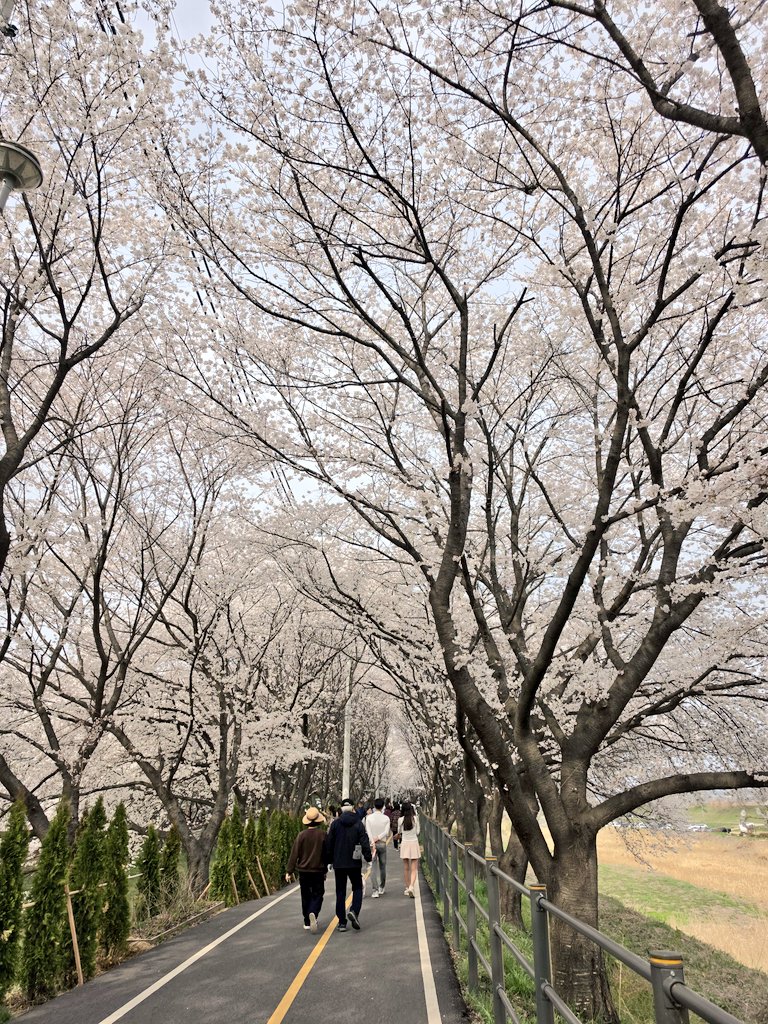 일상다반사 tweet media