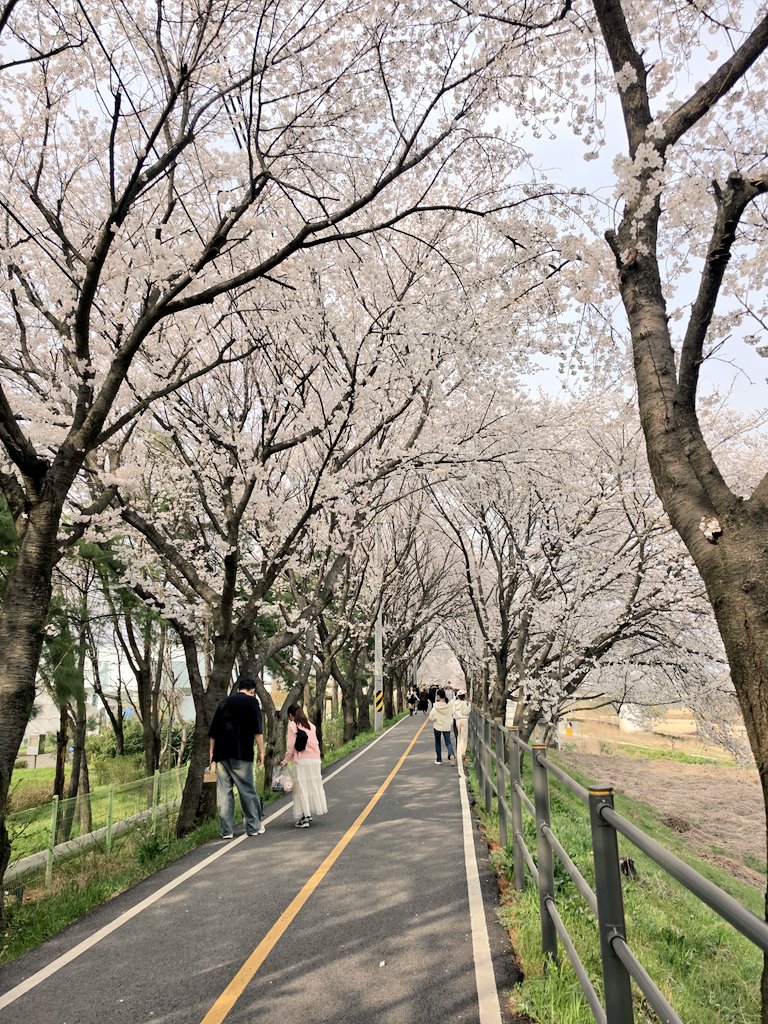 일상다반사 tweet media