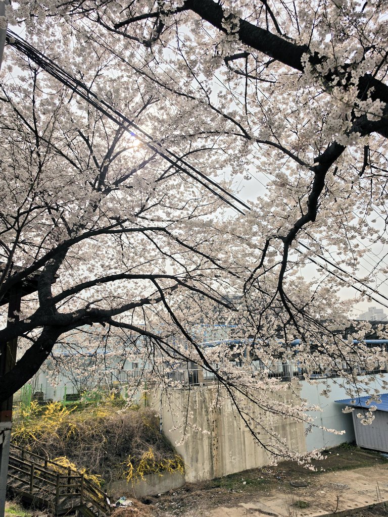 일상다반사 tweet media