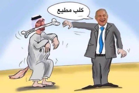 بآين 🧡 tweet media