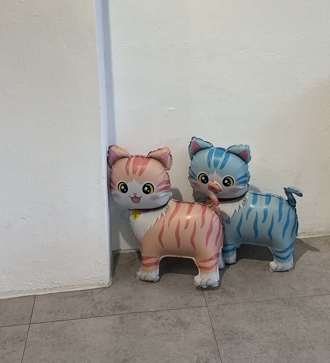 사월의별 tweet media