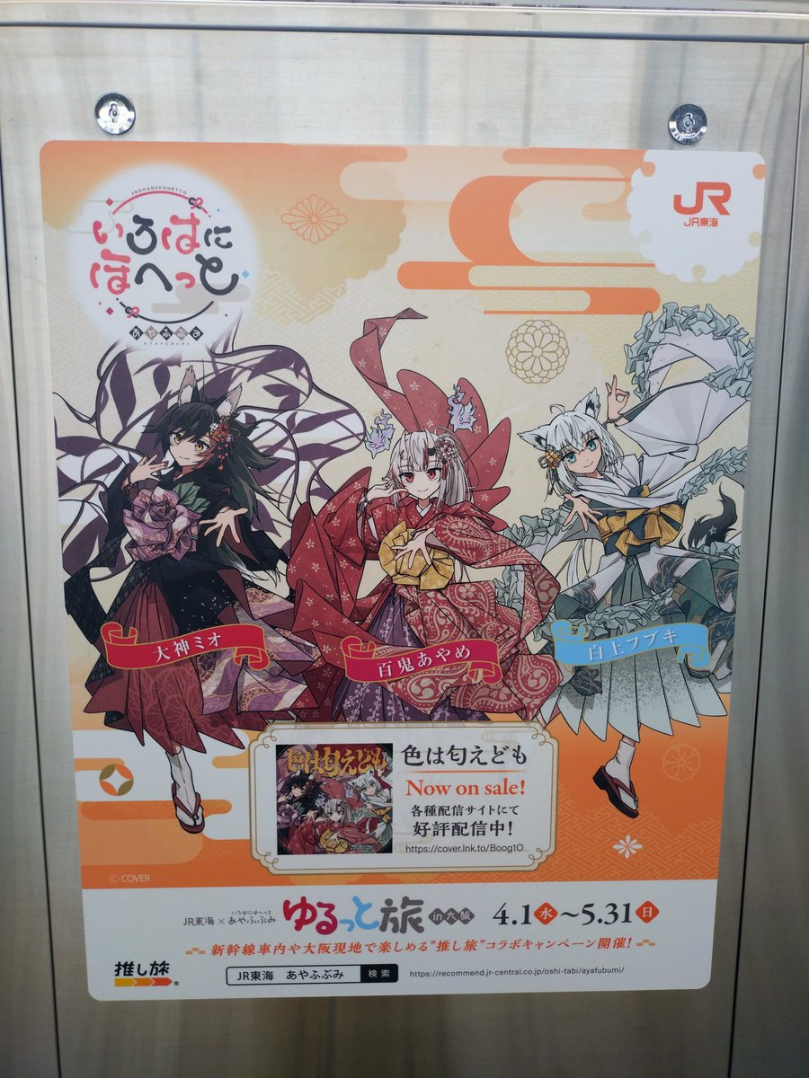 ピカソ🐻🚑️🌽🌲🐏☃️🥀🍃🐚ホロックスライブ、ういライブ参加！ tweet media