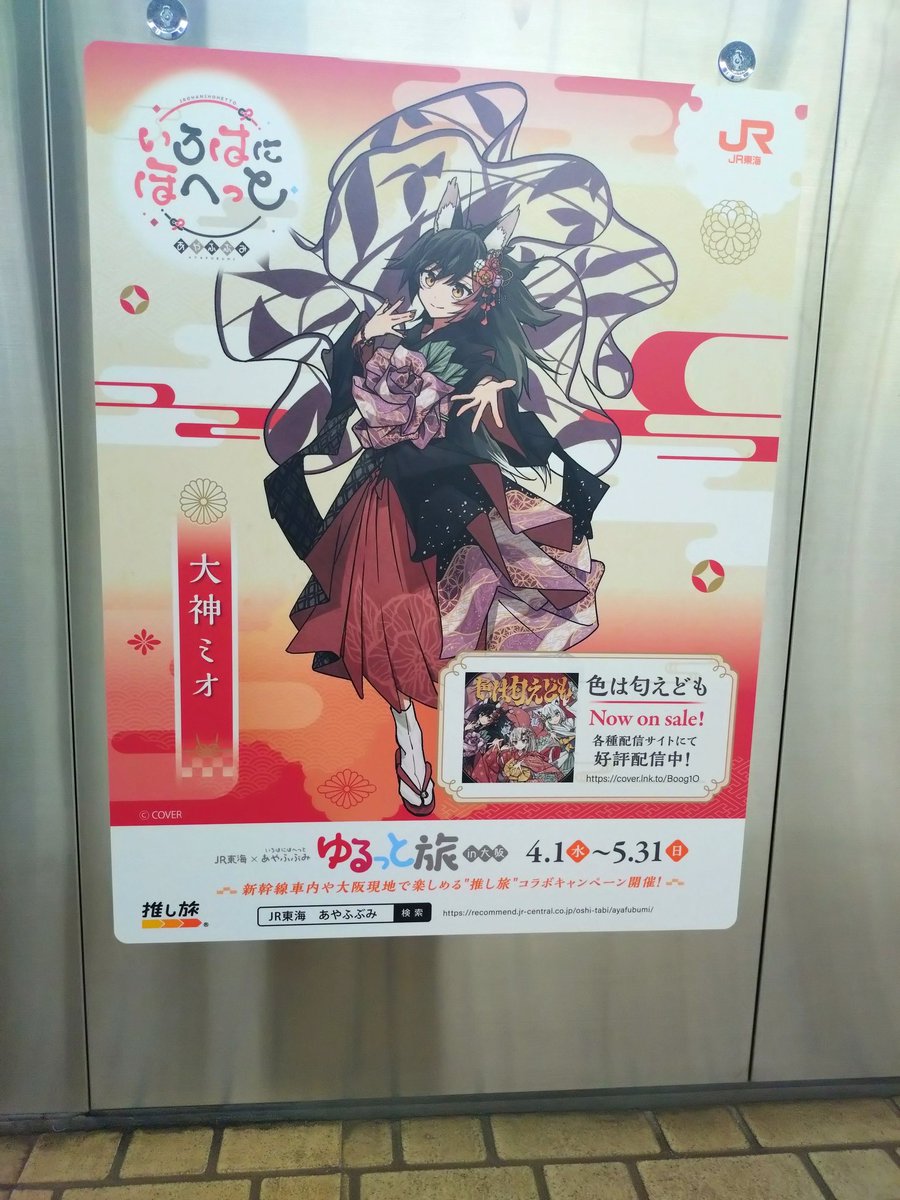 ピカソ🐻🚑️🌽🌲🐏☃️🥀🍃🐚ホロックスライブ、ういライブ参加！ tweet media