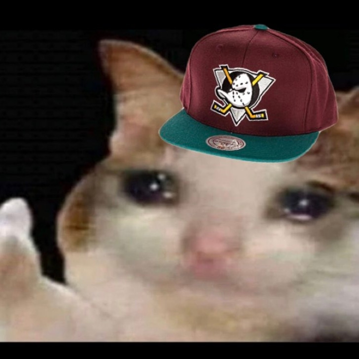 Dostal4vezina's tweet photo. IM FINE https://t.co/cg7PEj9YOV