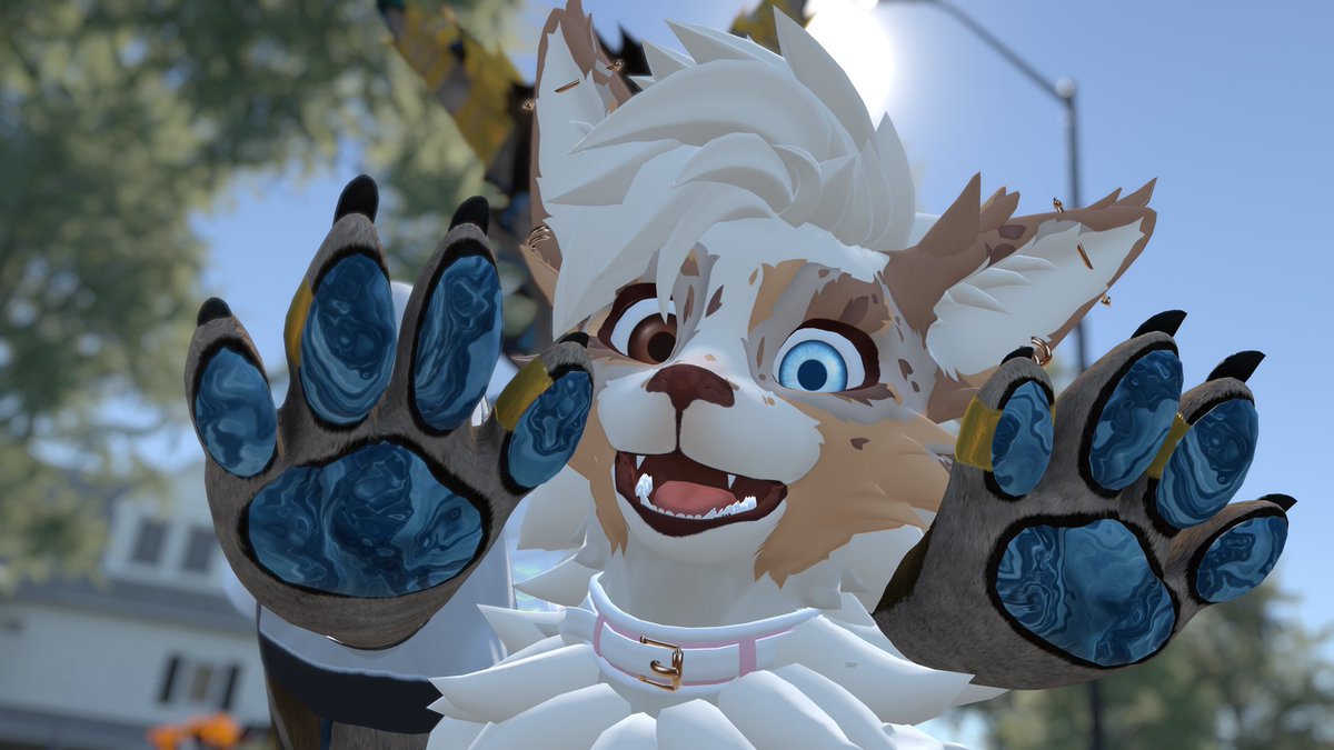 coy 💕 tweet media